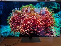 Samsung Neo QLED 55 Zoll Nordrhein-Westfalen - Alfter Vorschau