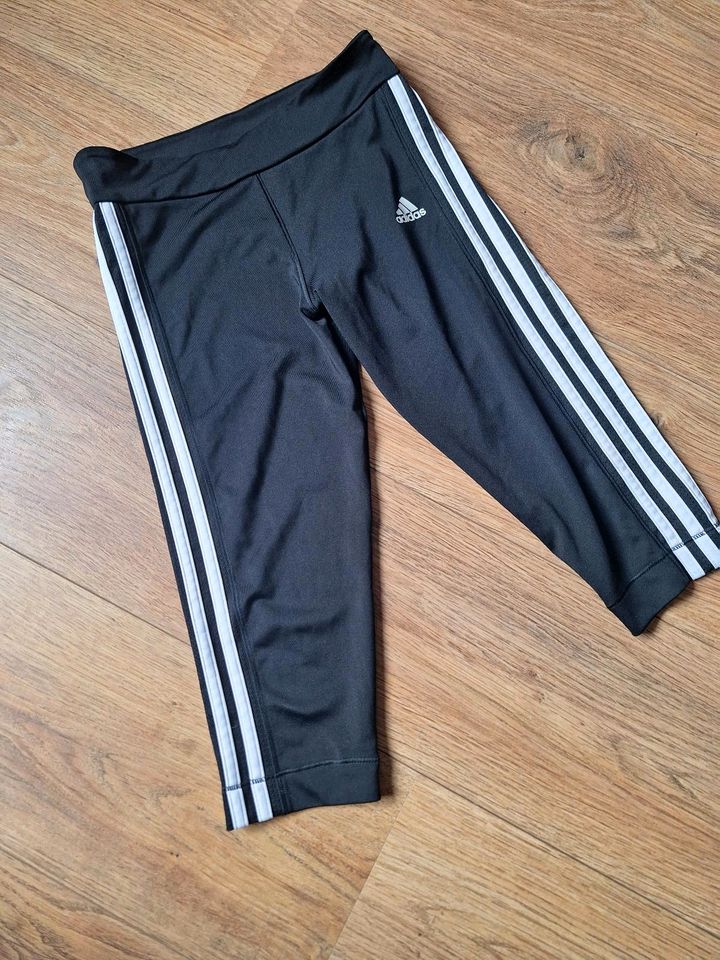 Sporthose von adidas Gr. 152 in Schwerin