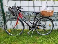 Rehberg Fahrrad 28" Damenrad Citybike Damenfahrrad Nordrhein-Westfalen - Oelde Vorschau