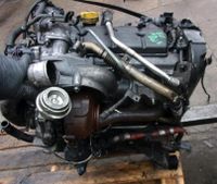 SUZUKI GRAND VITARA 1.9 DDIS F9Q 264 266 F9Q F9 MOTOR KOMPLETT Brandenburg - Hennigsdorf Vorschau