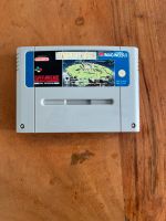 Snes Nintendo spiel Populous Baden-Württemberg - Esslingen Vorschau