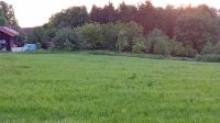Suche Gras ab Wiese Wiesengras  Futter Bayern - Eichendorf Vorschau