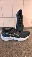 Asics GT-2000 12 Baden-Württemberg - Karlsruhe Vorschau