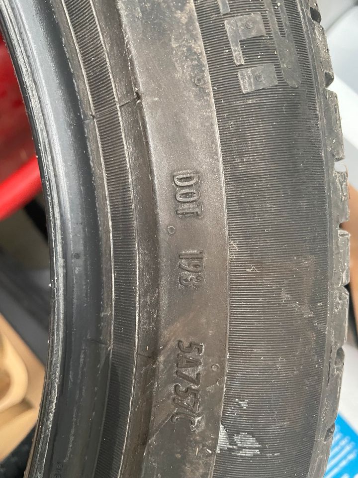 Pirelli Scorpion Sommerreifen  255/45 R 19 in Weißwasser