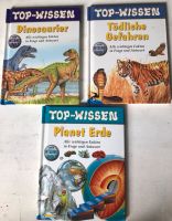 Top-Wissen 3 Wissensbücher Niedersachsen - Bröckel Vorschau