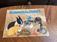 DDR Bummikalender Bummi Kalender 1987 unbenutzt GDR vintage Retro Brandenburg - Jüterbog Vorschau