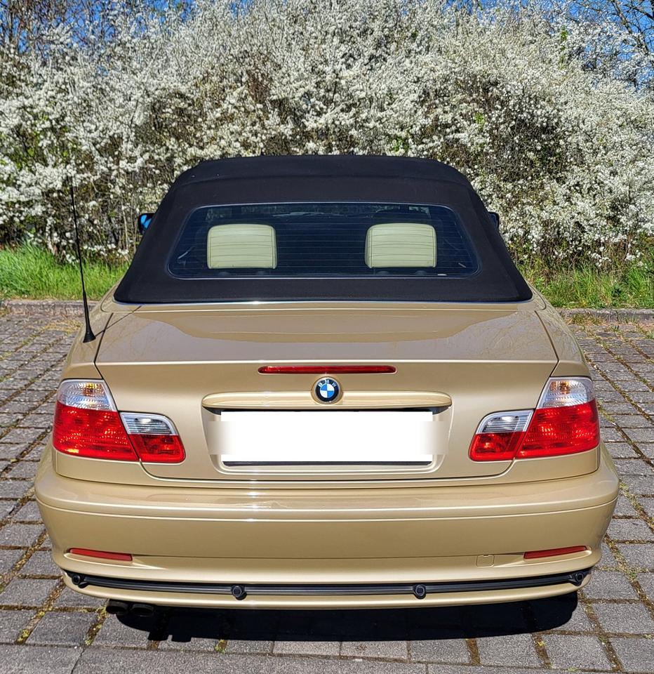 BMW 320ci Cabriolet mit Hartdtop Sammlerfahrzeug Festpreis! in Pirmasens