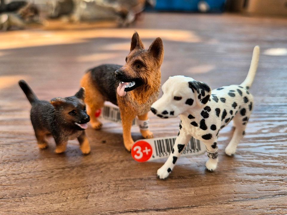 Schleich // 3x Hunde in Oberboihingen