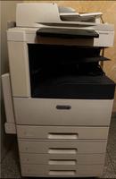 XEROX Altalink C8030 Farbkopierer-Drucker Elberfeld - Elberfeld-West Vorschau