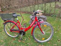 Damenrad 26 Zoll Pegasus zum Frühling Wandsbek - Hamburg Farmsen-Berne Vorschau