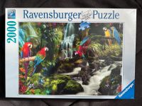 2.000 Teile Puzzle Papageien-Design NEU Baden-Württemberg - Lauterbach (Schwarzwald) Vorschau