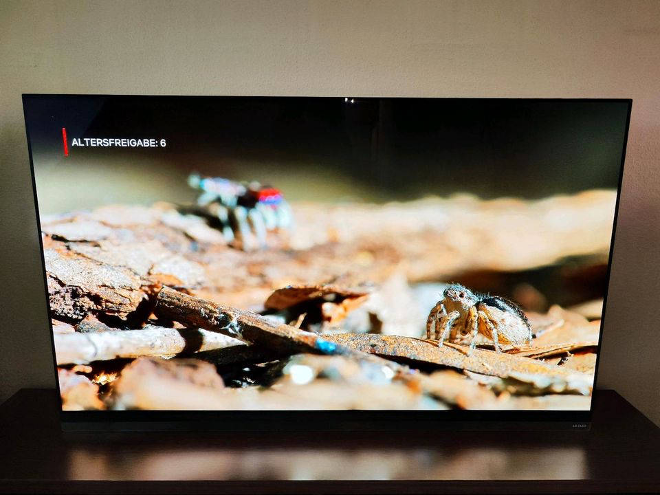 LG OLED 65 Zoll E9 120Hz Dolby Vision Alexa HDMI 2.1 OLED65E97LA in Asendorf (Nordheide)