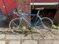 Bianchi Rennrad Dresden - Loschwitz Vorschau
