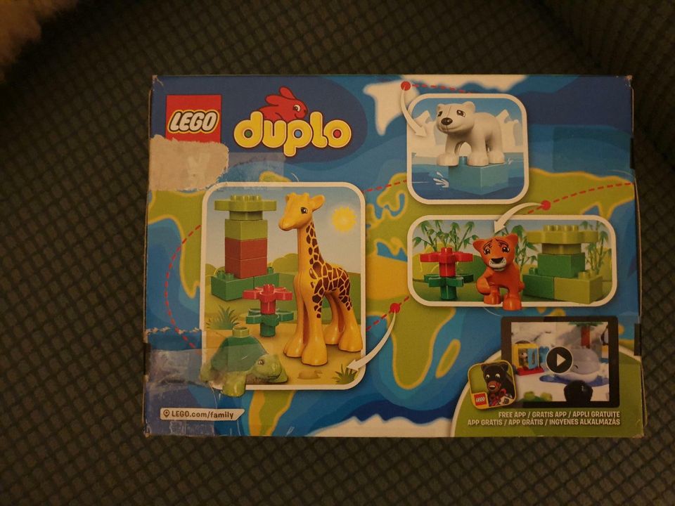 Lego Duplo 10801 Giraffe Eisbär Tiger Schildkröte in Bremerhaven