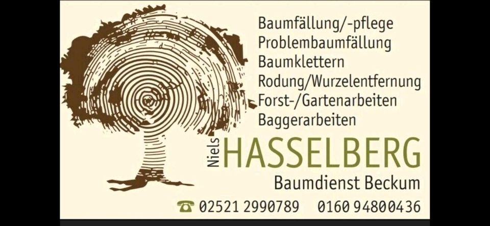 Baumkletterer, Seilklettertechnik, SKT, Problem Baumfällung in Beckum