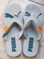 Puma Zehentrenner Gr. 40,5 Flip Flops hellgrau Badeschuhe Niedersachsen - Peine Vorschau