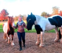 Reittherapie, Kinderreitkurse Nordrhein-Westfalen - Lienen Vorschau