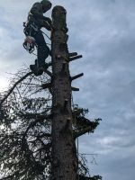 Baum Fällen Brandenburg - Brandenburg an der Havel Vorschau