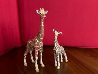 Schleich Giraffen Familie Mecklenburg-Vorpommern - Kemnitz Vorschau