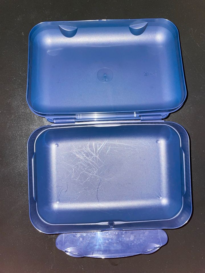 Tupperware Box in blau in Kerpen