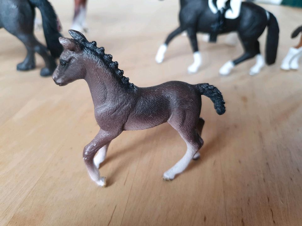 Schleich Horse Club Pferde, Dressur, mit Zubehör in Hallbergmoos