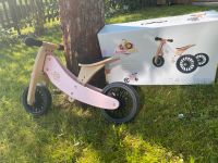 Laufrad Holz Kinderfeets® 2-in-1 Dreirad Tiny Tot Plus, rosa Thüringen - Gräfenroda Vorschau