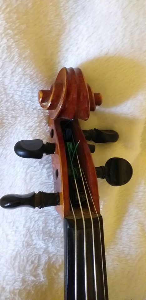 4/4 Violine in Berlin