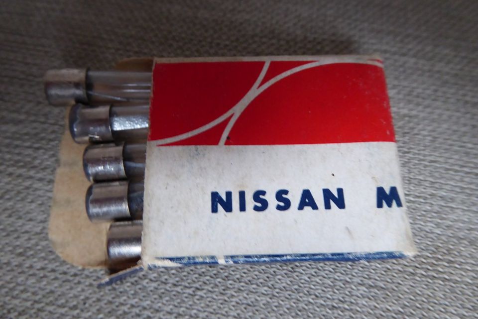 5 x Glassicherung 5 er Set Nissan - 20 Amp - 30 mm in Gersthofen