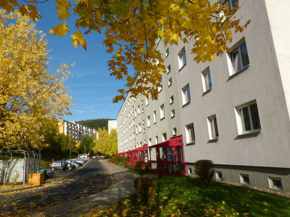 Zweiraumwohnung mit schöner Aussicht in Zella-Mehlis