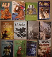 12 Kinderbücher, Der Herr der Ringe J.R.R. Tolkien, Michael Ende Hessen - Lohfelden Vorschau