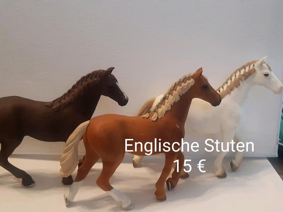 Schleich Stuten in Windischholzhausen