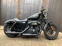 Harley Davidson Iron 883 Sportster mattschwarz super Zustand 5HD1 Bayern - Aschaffenburg Vorschau