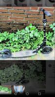 Micro Tretroller silber black Crane Scooter Hamburg-Nord - Hamburg Ohlsdorf Vorschau