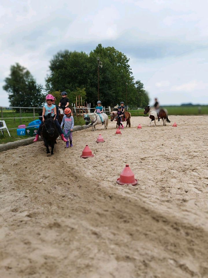 Reitunterricht/ Reitbeteiligungen in Georgsdorf