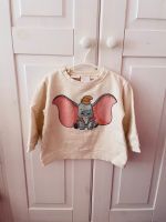 Zara Baby Pullover Rostock - Toitenwinkel Vorschau