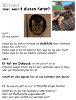 Kater Katze Bitburg Neubaugebiet Auf dem Monental Rheinland-Pfalz - Bitburg Vorschau