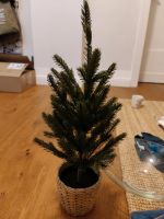 IKEA Weihnachtsbaum mit Übertopf Bonn - Bad Godesberg Vorschau