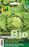 * Austro Select Bio Saatgut Winterkopfsalat biologischer Anbau Berlin - Tempelhof Vorschau