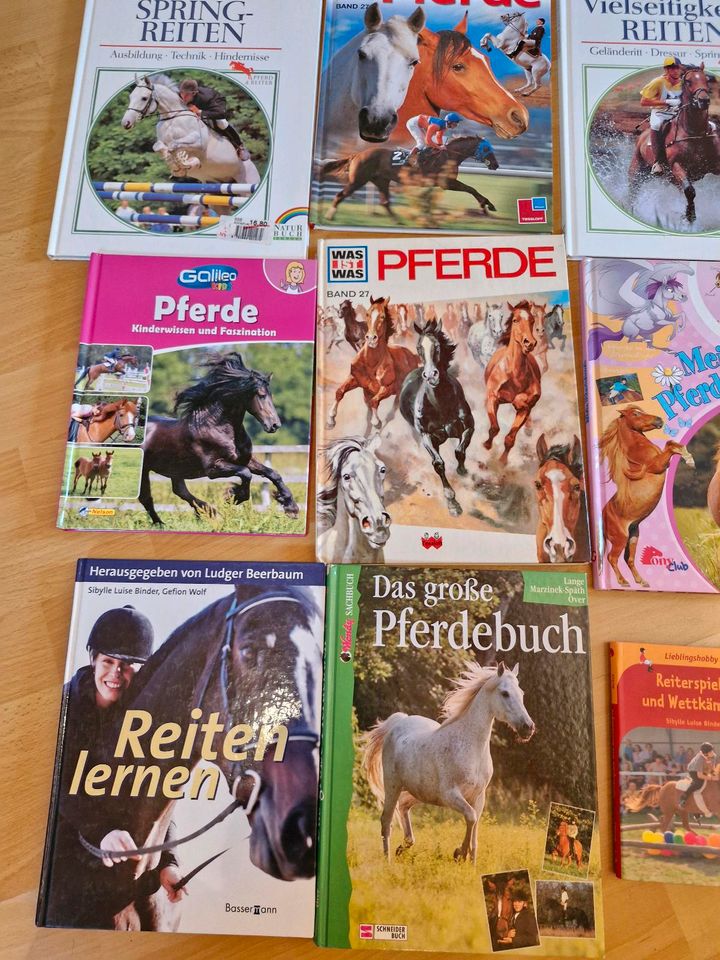 Pferdebücher Sachbücher Kinder Was ist was Paket  20 Stck in Illingen