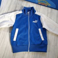 Puma Sweatjacke Hessen - Offenbach Vorschau