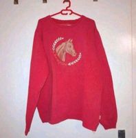 Ein roter Mädchen pullover in Größe 176 Brandenburg - Zehdenick Vorschau