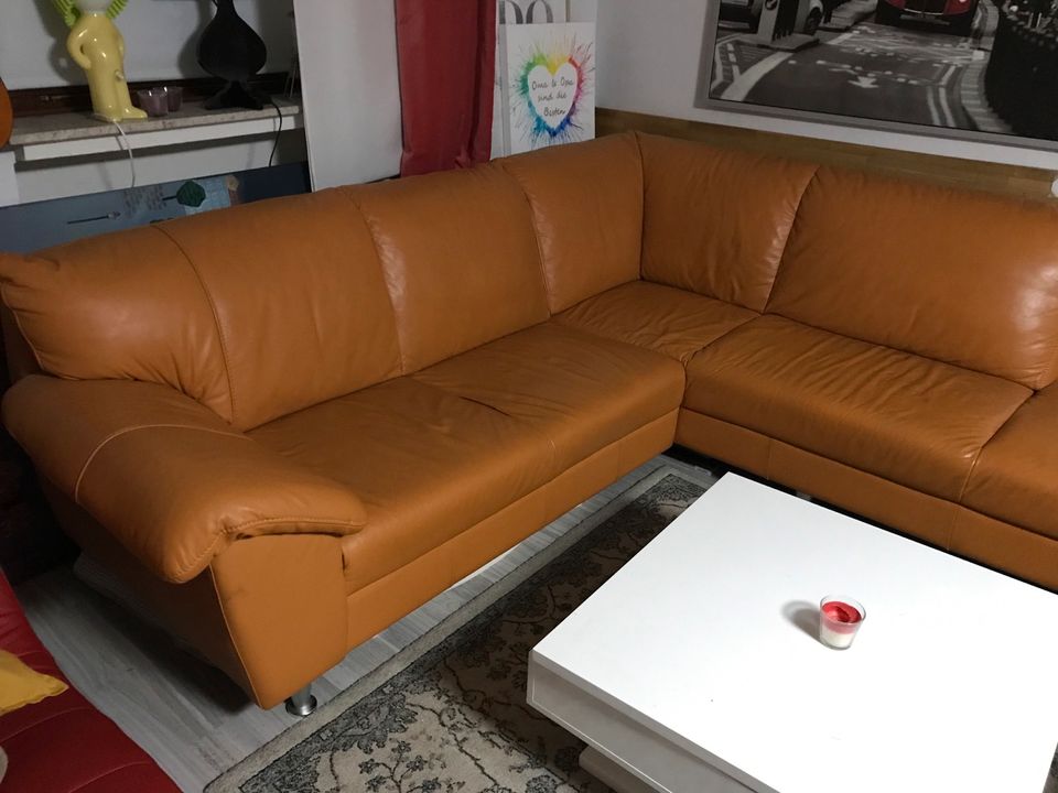 Echtleder Couch Eckcouch in Bielefeld