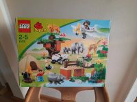 Duplo Lego Zoo Safari Niedersachsen - Bad Iburg Vorschau