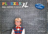 PLUZZLE - Das Mathe-Puzzle 500 Teile Wuppertal - Barmen Vorschau