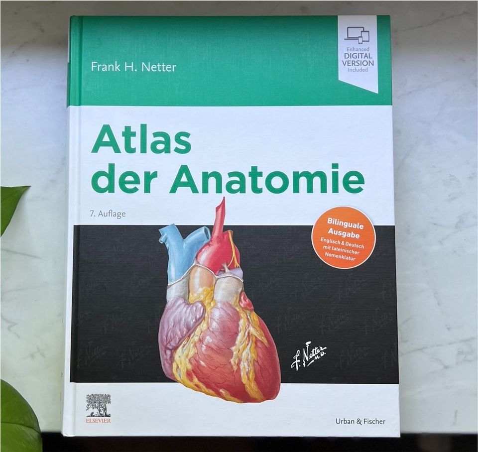 Netter Atlas der Anatomie (Hardcover, aktuelle Auflage) in Rostock