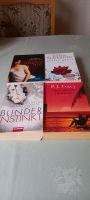 10 Bücher Romane Krimis Thriller Liebesromane je 1 Euro Nordrhein-Westfalen - Bergkamen Vorschau