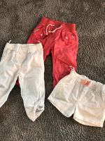 Sommerhosen Mädchen Paket 3 Teile Hose und Pants Gr 86 und 80 Rheinland-Pfalz - Dannstadt-Schauernheim Vorschau