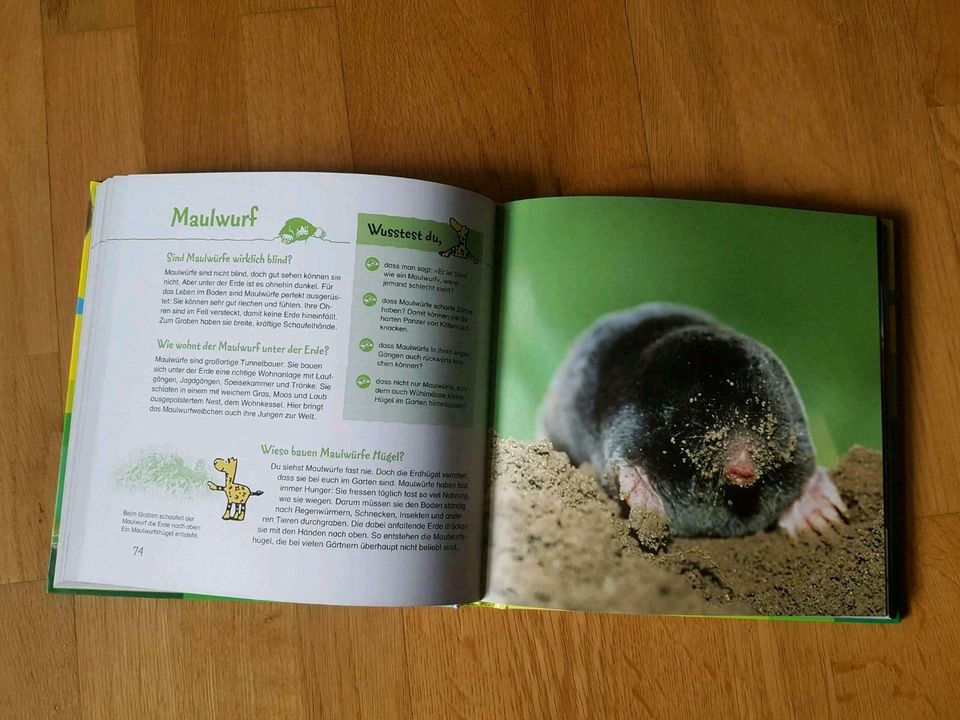 Buch Warum wackelt Wackelpudding-Antworten auf kuriose Kinderfrag in München