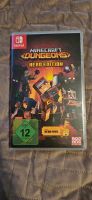 Nintendo switch Spiele Mincraft Dungeons Sachsen - Neukirchen/Erzgeb Vorschau