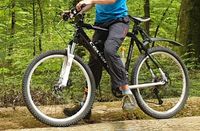 Gestohlen Mountainbike 26zoll Calvaro Baden-Württemberg - Emmendingen Vorschau